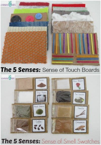 Sense of Touch and Sense of Smell Activities