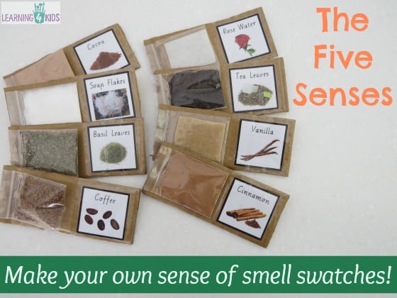 Learning Smell Touch plan  Senses sense Five lesson 4 â€“ Activity of preschool five   Sense Kids &