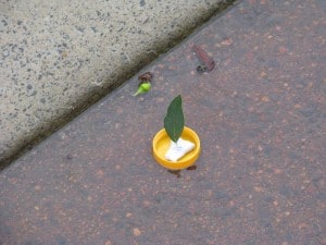 Bottle Top Leaf Boats 2