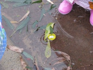 Bottle Top Leaf Boats 4