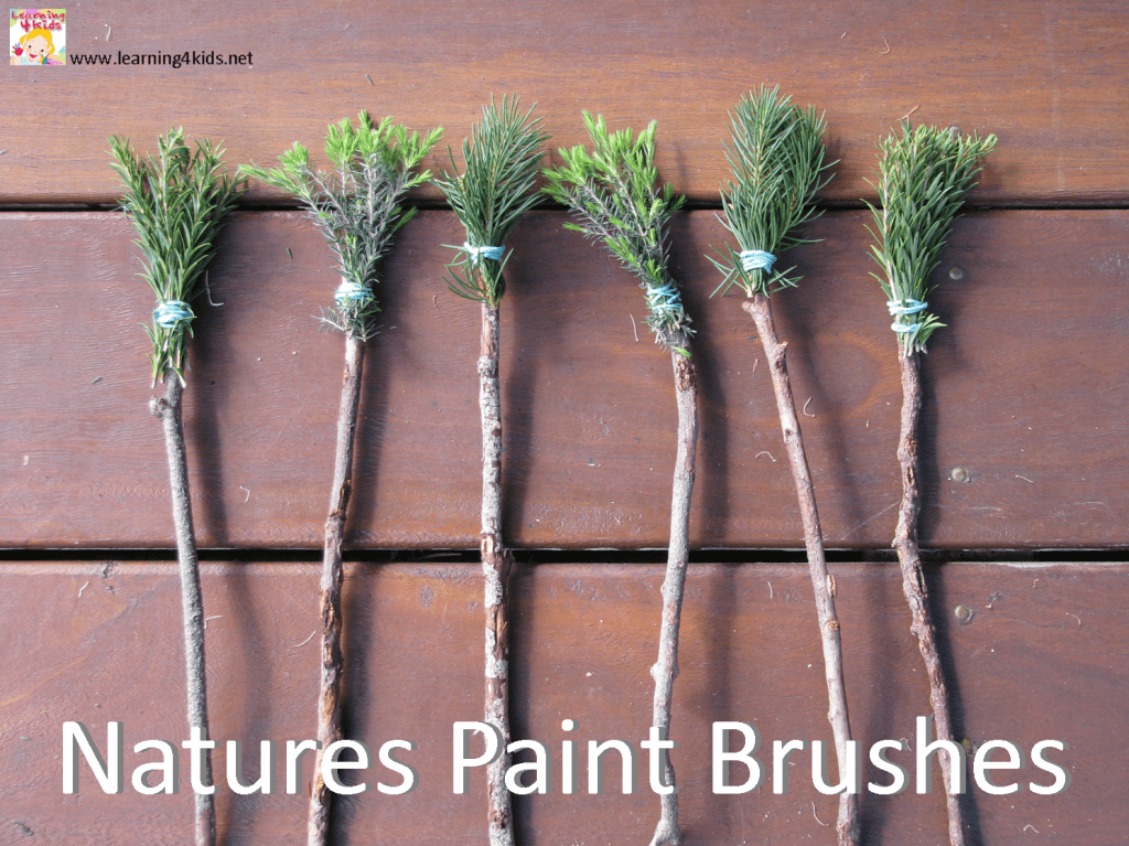 https://www.learning4kids.net/wp-content/uploads/2012/08/Textured-Painting-Natures-Paint-Brushes-1.png