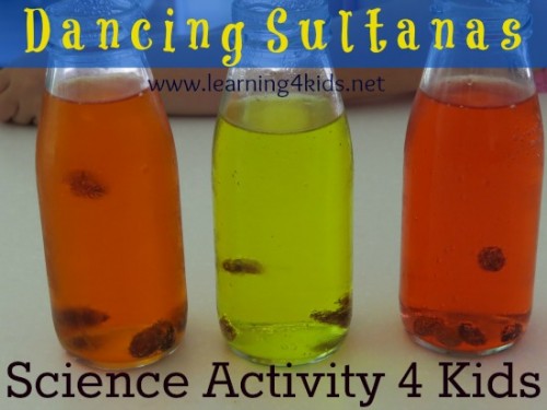 Science Fun DAncing Sultanas