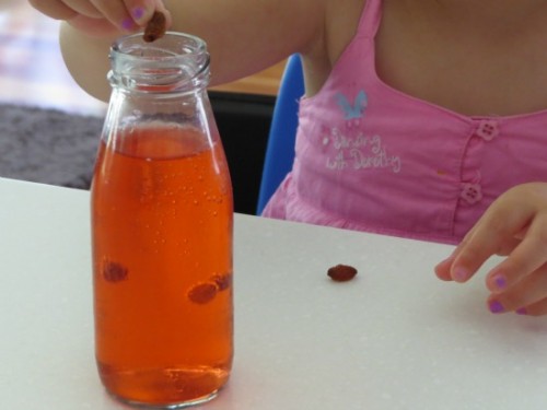 Dancing Sultanas Science