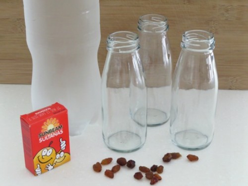 Dancing Sultanas Science Experiment