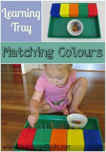 Fine Motor Learning Tray