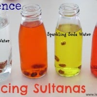 Science Fun - Dancing Sultanas
