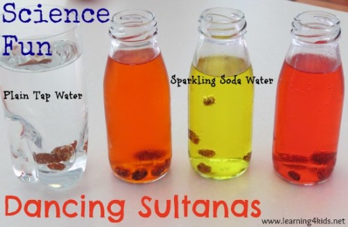 Science Fun - Dancing Sultanas