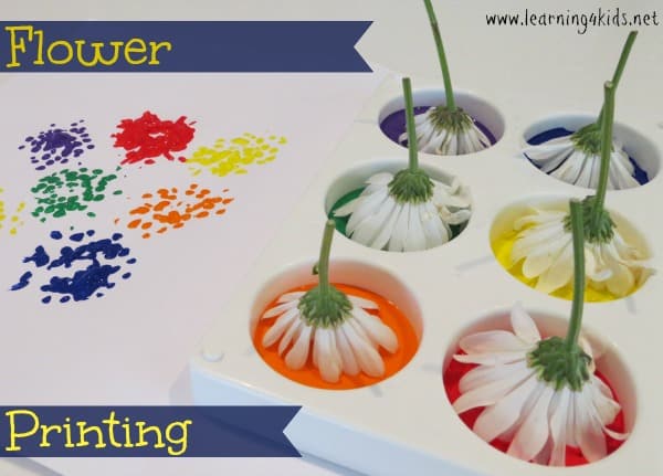 Flower Printing | Learning 4 Kids