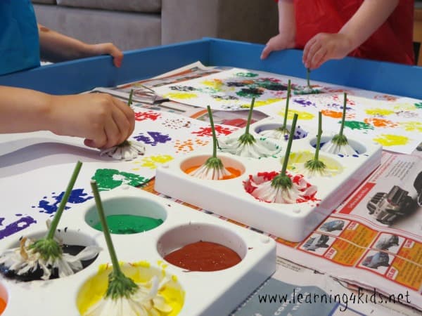 Flower Printing | Learning 4 Kids