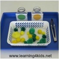 Learning Trays Collage a