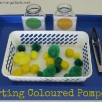 Sorting Coloured Pompoms