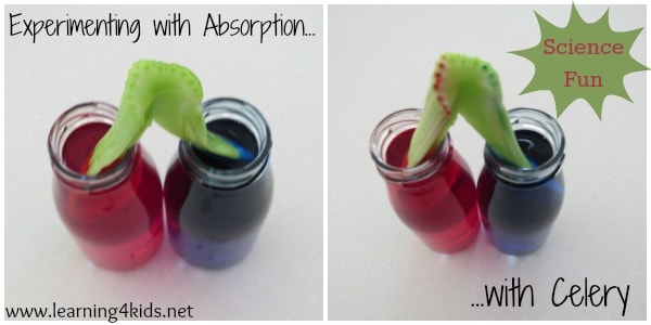 Absorption with Celery
