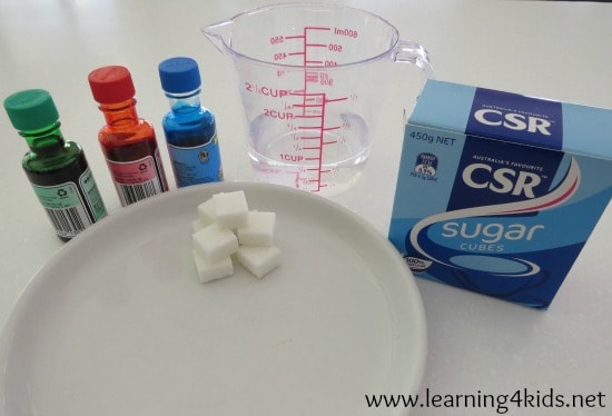 Simple Abosrption Science Experiment for Kids
