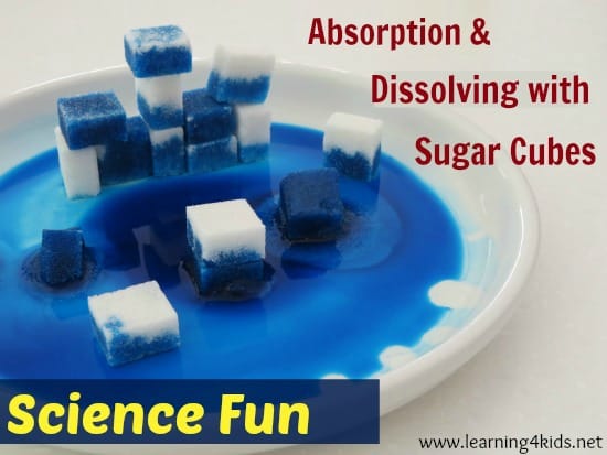 Absorption and Dissolving with Sugar Cubes - super simple science experiment for kids