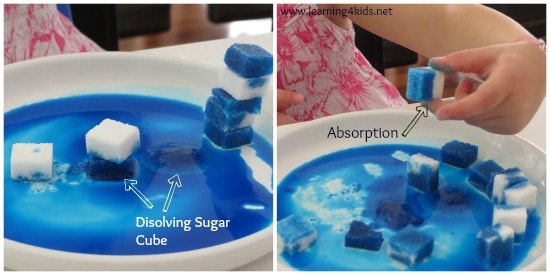 Simple and easy to do science activities for kids