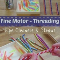 Fine Motor Threading with Pipe Cleaners and Straws