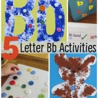 5 Letter Bb Activities