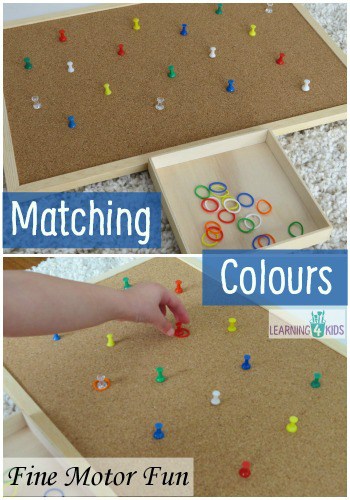 Motor and Colour Activity