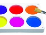 Buy Blank Palette Online