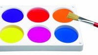 Buy Blank Palette Online