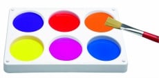 Buy Blank Palette Online