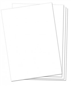 Large White Cardboard Pack of 20