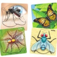 Insect Tray Puzzles Set of 4