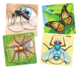 Insect Tray Puzzles Set of 4