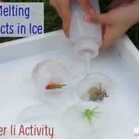 Melting Insects in Ice - Letter I Activity