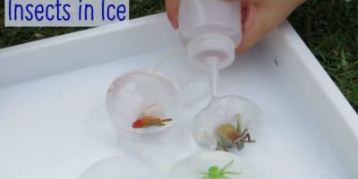 Melting Insects in Ice - Letter I Activity
