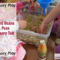 Mixed Beans and Peas Sensory Tub