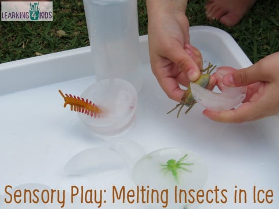 Sensory Play - Melting Insects in Ice