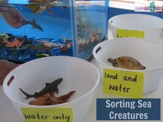Sorting Sea Creatures - Underwater Zoo