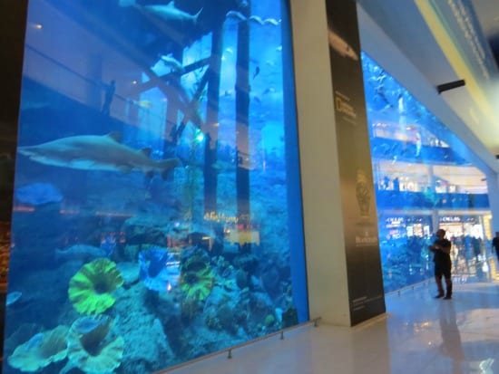 The Dubai Aquarium at the Dubai Mall