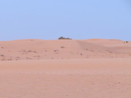 Things to do in Dubai - safari desert