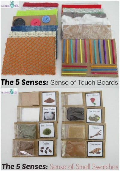 Educational & Sensory Game - Sense of Touch