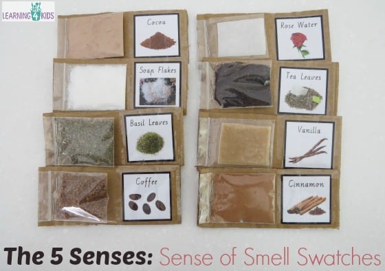 The 5 Senses Activity - Sense of Smell