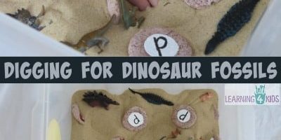Digging for Dinosaur Fossils by learning 4 kids
