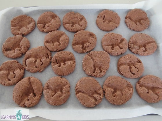 How to make dinosaur fossils - place on baking tray to dry out
