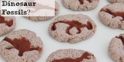 how to make dinosaur fossils, salt dough recipe by learning 4 kids