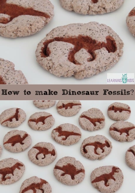 how to make dinosaur fossils with salt dough by learning 4 kids 2