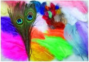 Value Pack of Assorted Feathers 25g