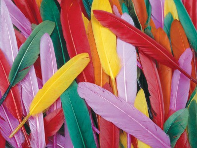 Rainbow Duck Quill Feathers 28g