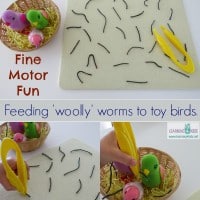 Fine motor activity for kids - pretnd feeding 'woolly' (yarn) worms to toy birds.