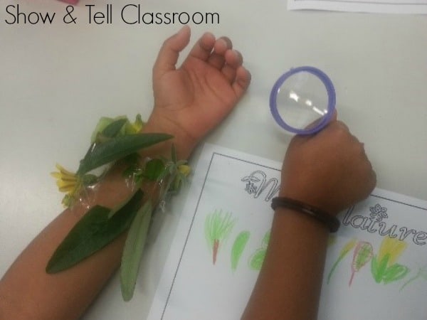 Nature Bands - Show & Tell Classroom. Image credit Justine Moorman