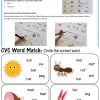 CVC Picture Word Match Mats - print laminate for a re-usable resource.