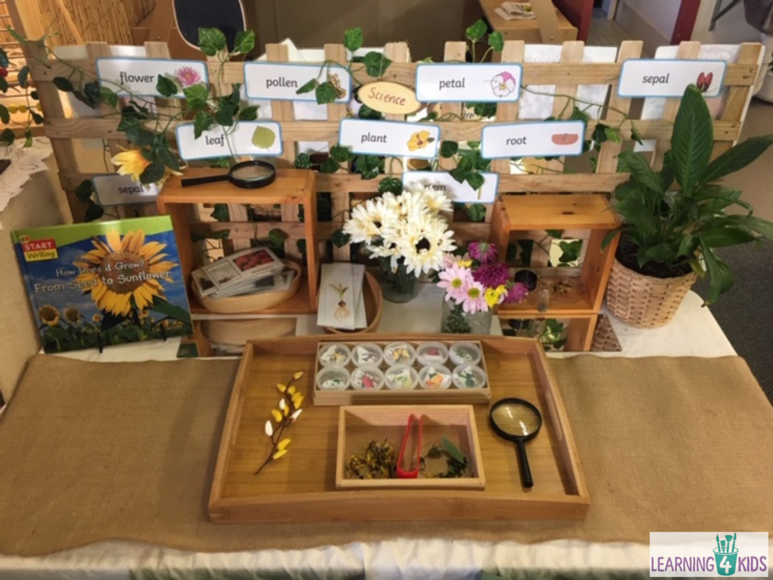 How to Set Up a Role Play Flower Shop? Learning 4 Kids