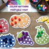 Colour matching and sorting printable fruit for matching activities